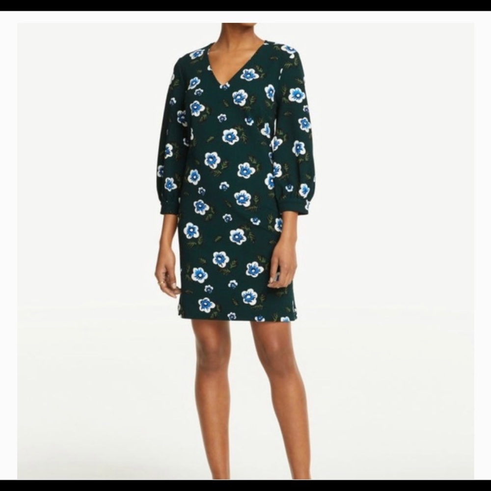Ann Taylor Factory Floral Balloon Sleeve Shift Dress - Picture 4 of 4